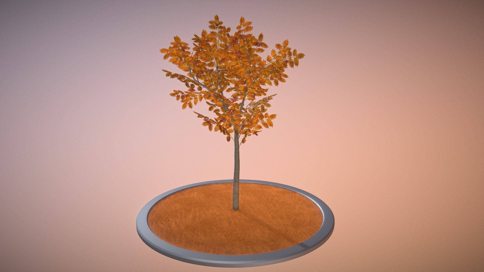 Rowan Tree 3d model