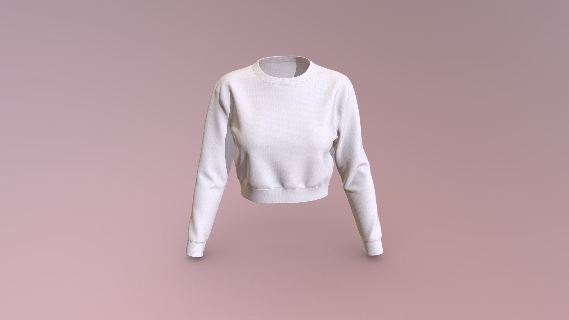 Crop Women’s Sweatshirts 3d model