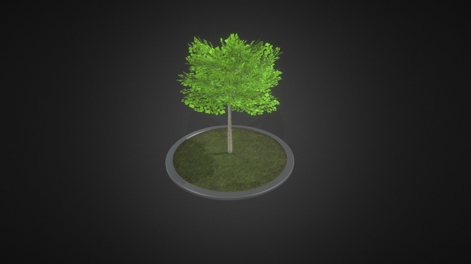 Linde 4 Meter Frühling 3d model