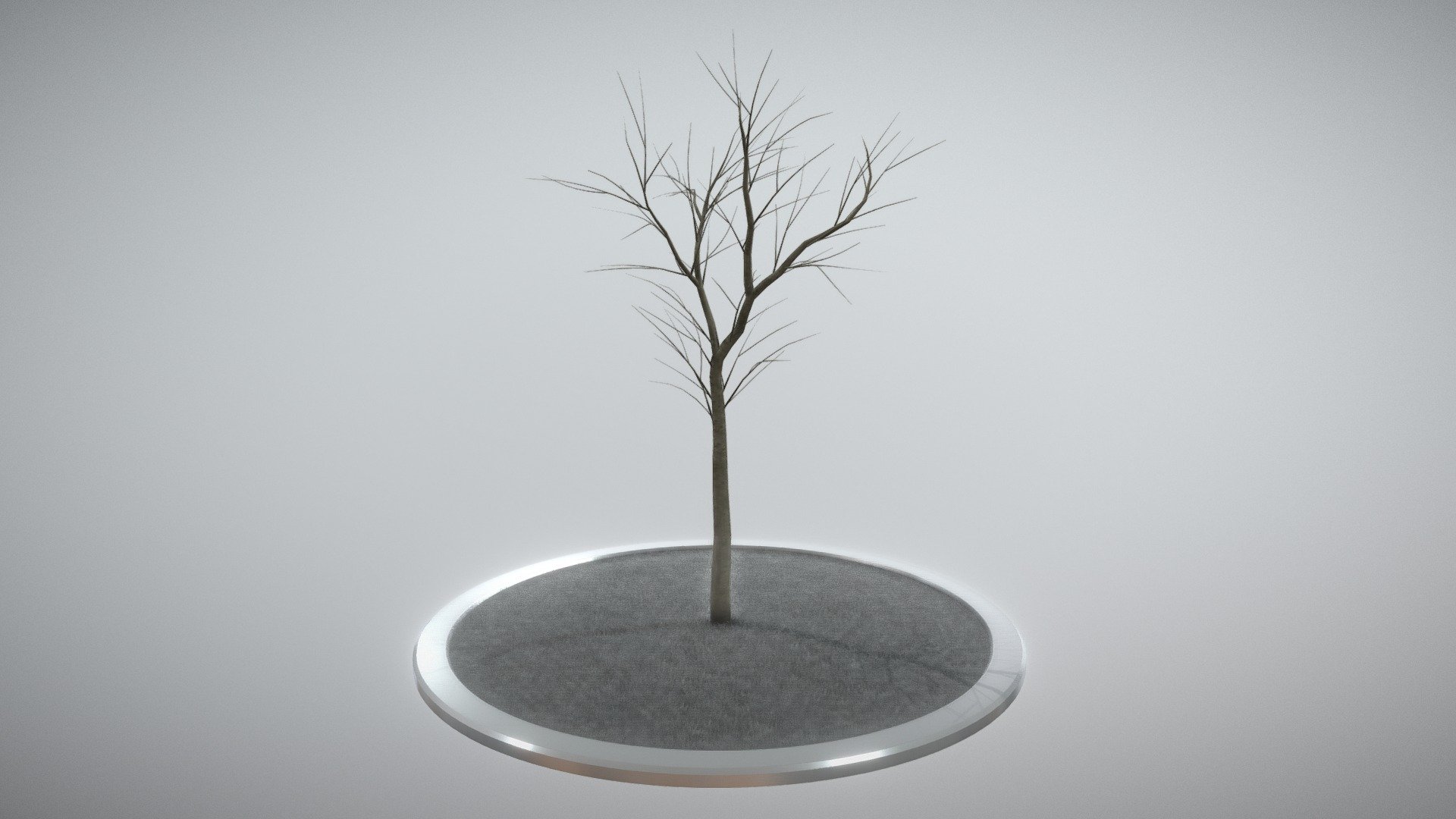 Rowan Tree 3d model