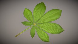 Chestnut Leaf Low-Poly