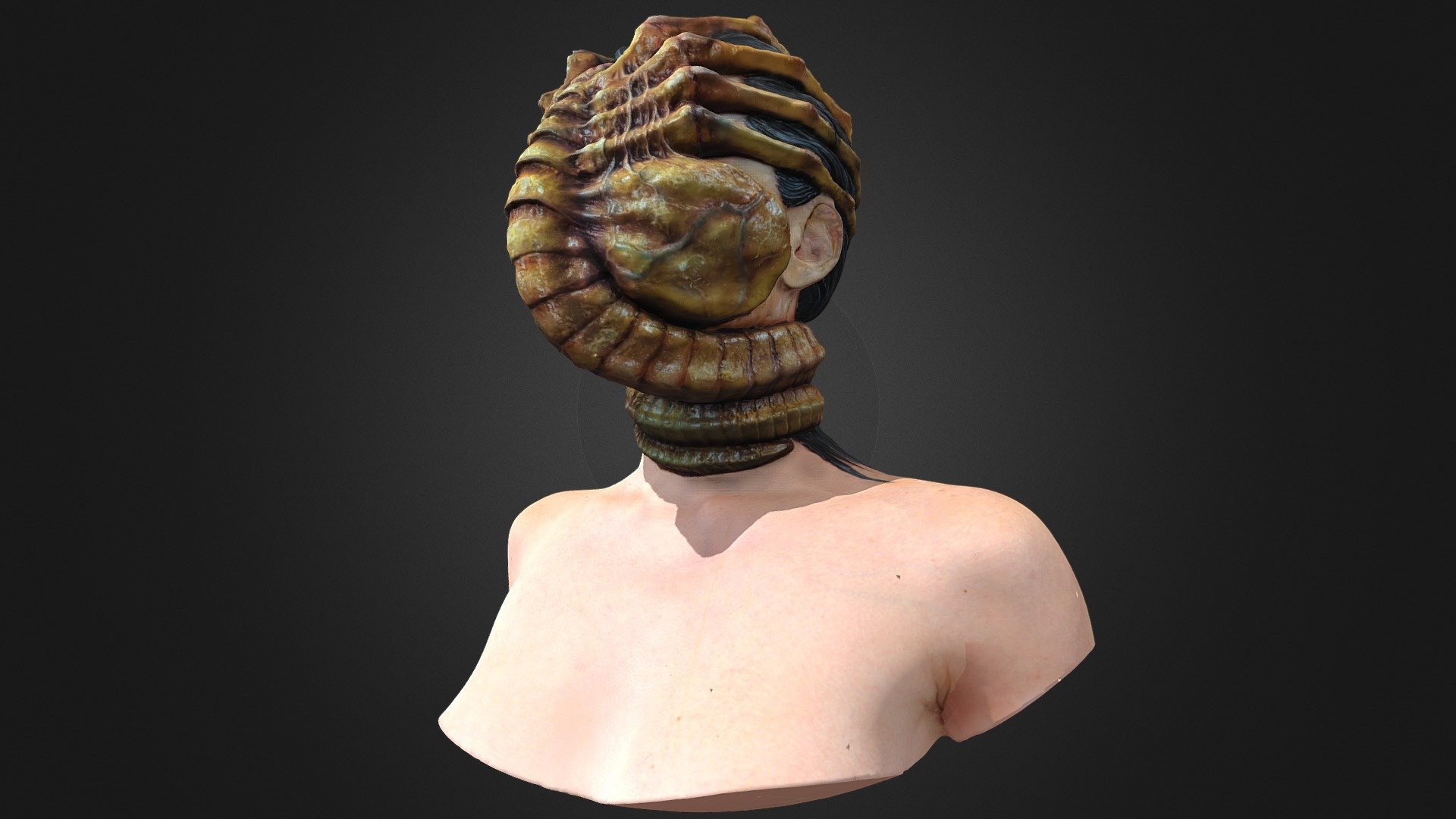 FaceHugger from Alien 3d model