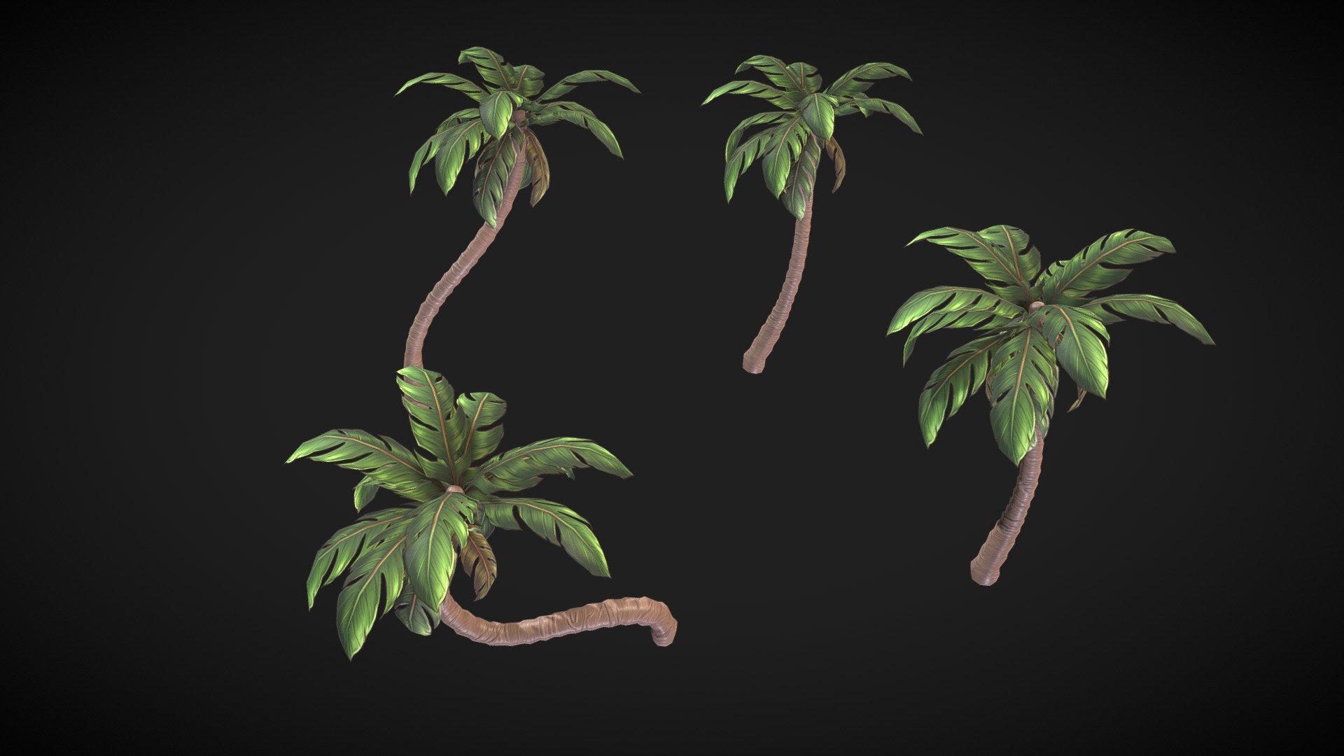 Palm 3d model