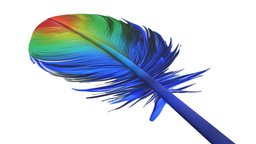 feather 3d colourful free