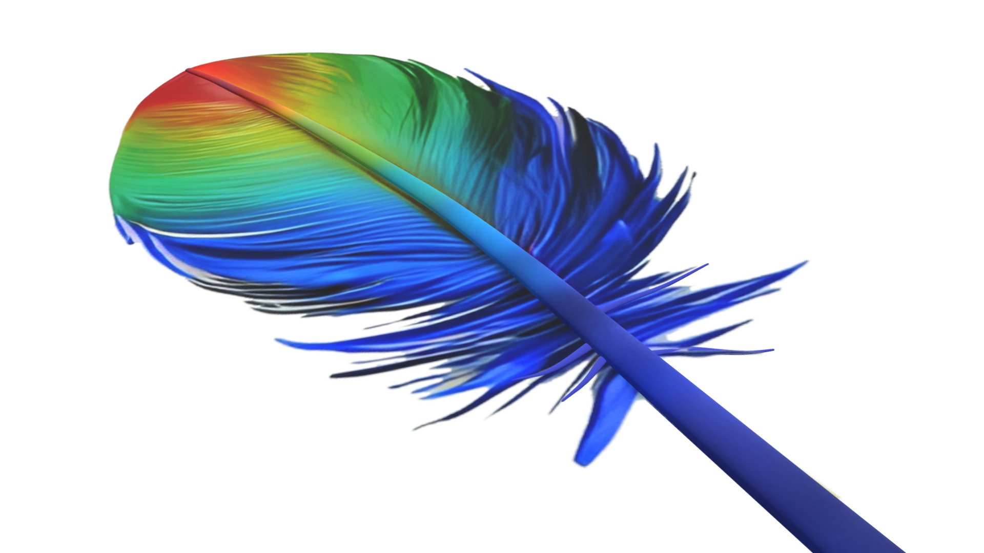 feather 3d colourful free 3d model