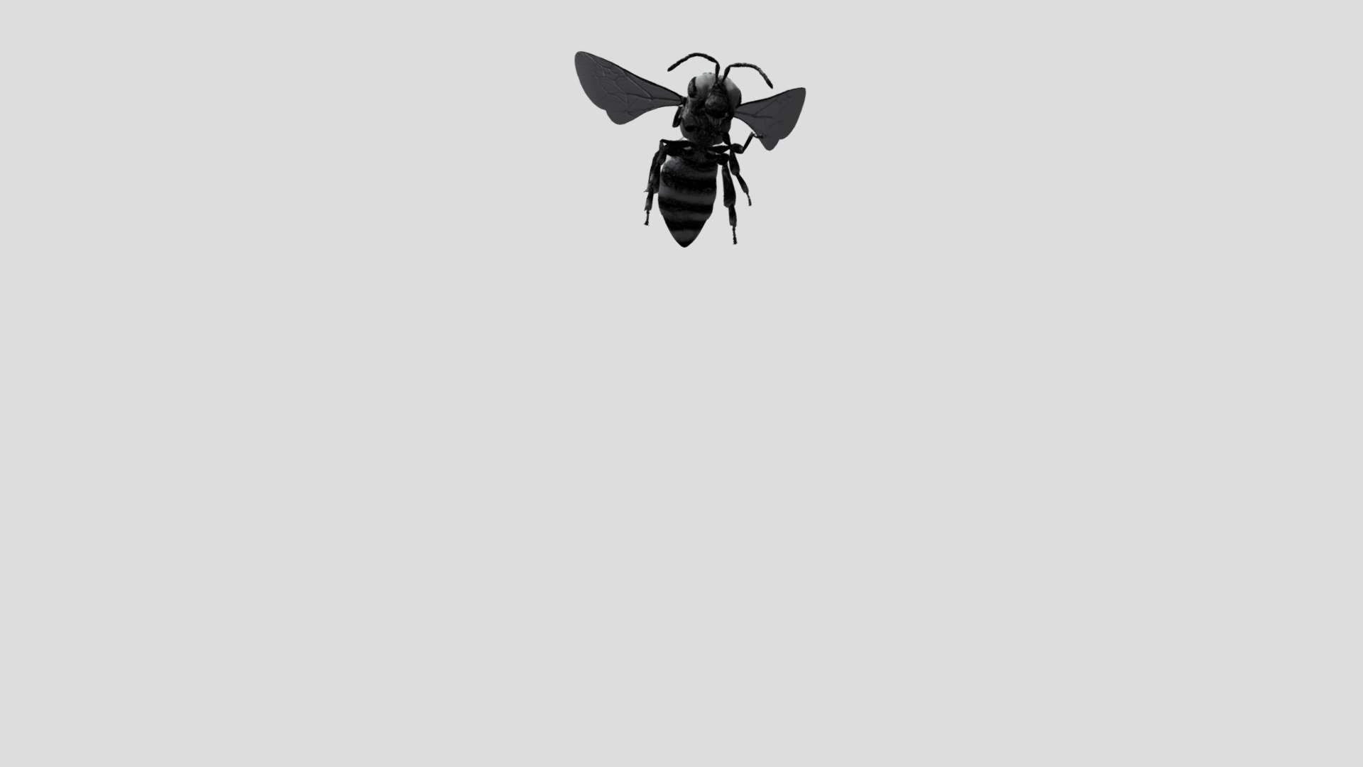 Animated Bee Flying Landing 3d model