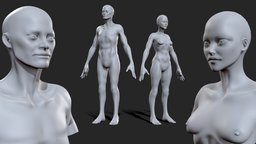 Thin Male & Female BaseMesh