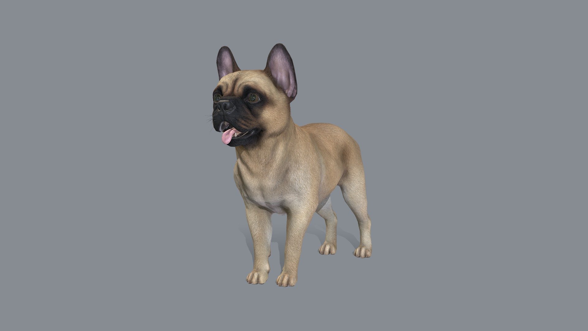 Dog 3d model