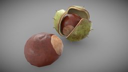 My 3dsmax Chestnut 3d model