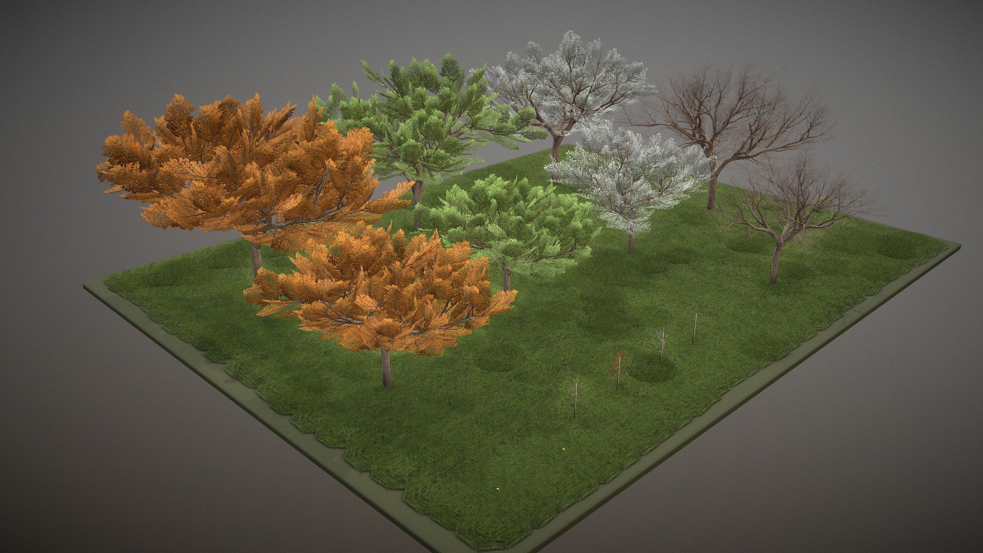 Cherry Tree Seasons 3d model