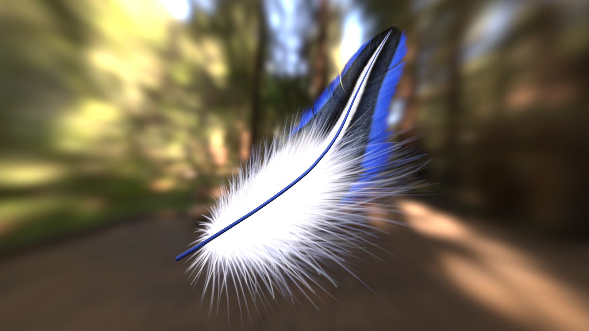 feather 3d colourful free 3d model