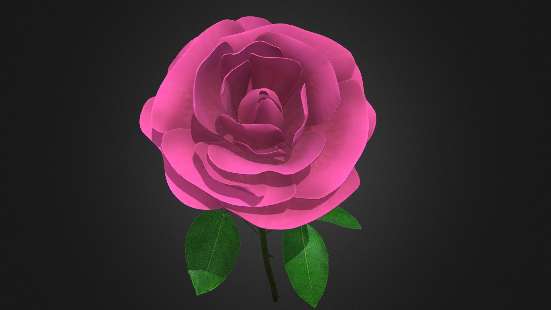 Pink Rose 3d model