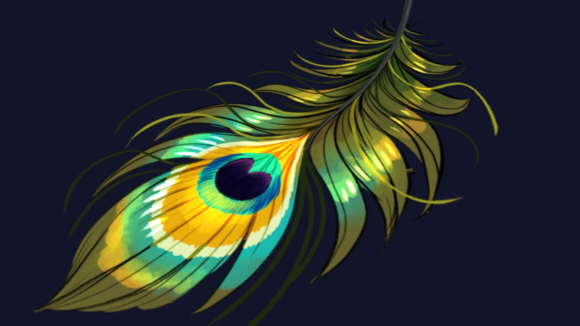 Peacock feather v.3 pluma pavo real 3d free 3d model