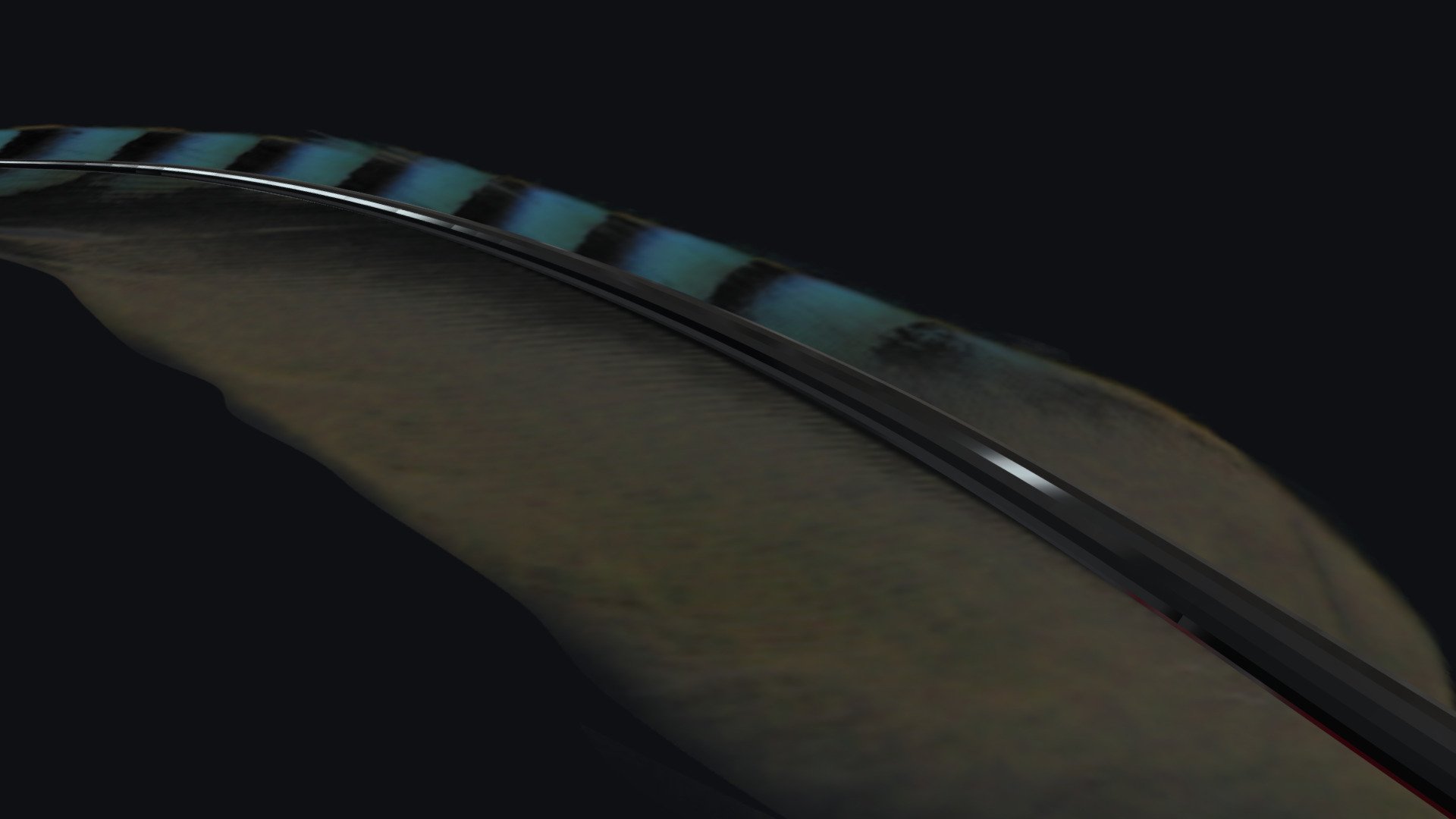 Bird Feather 3d 3d model