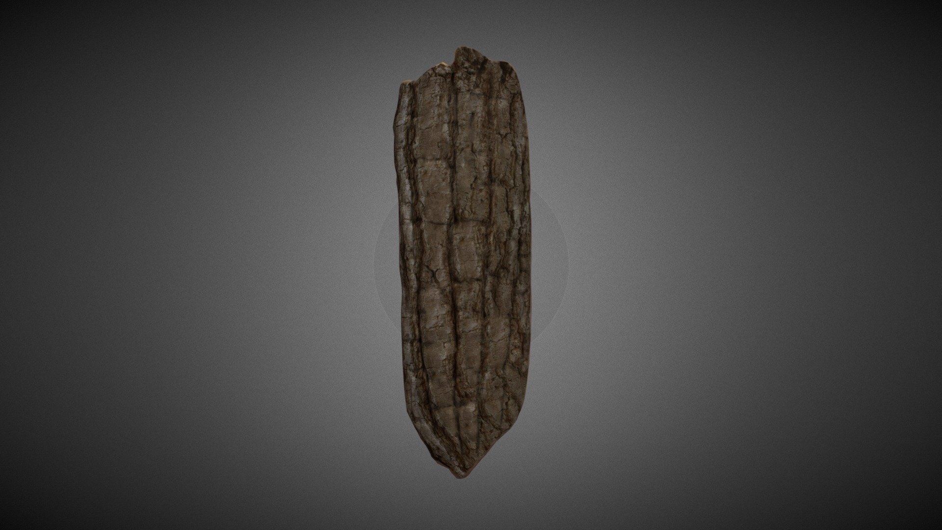 Bark 3d model