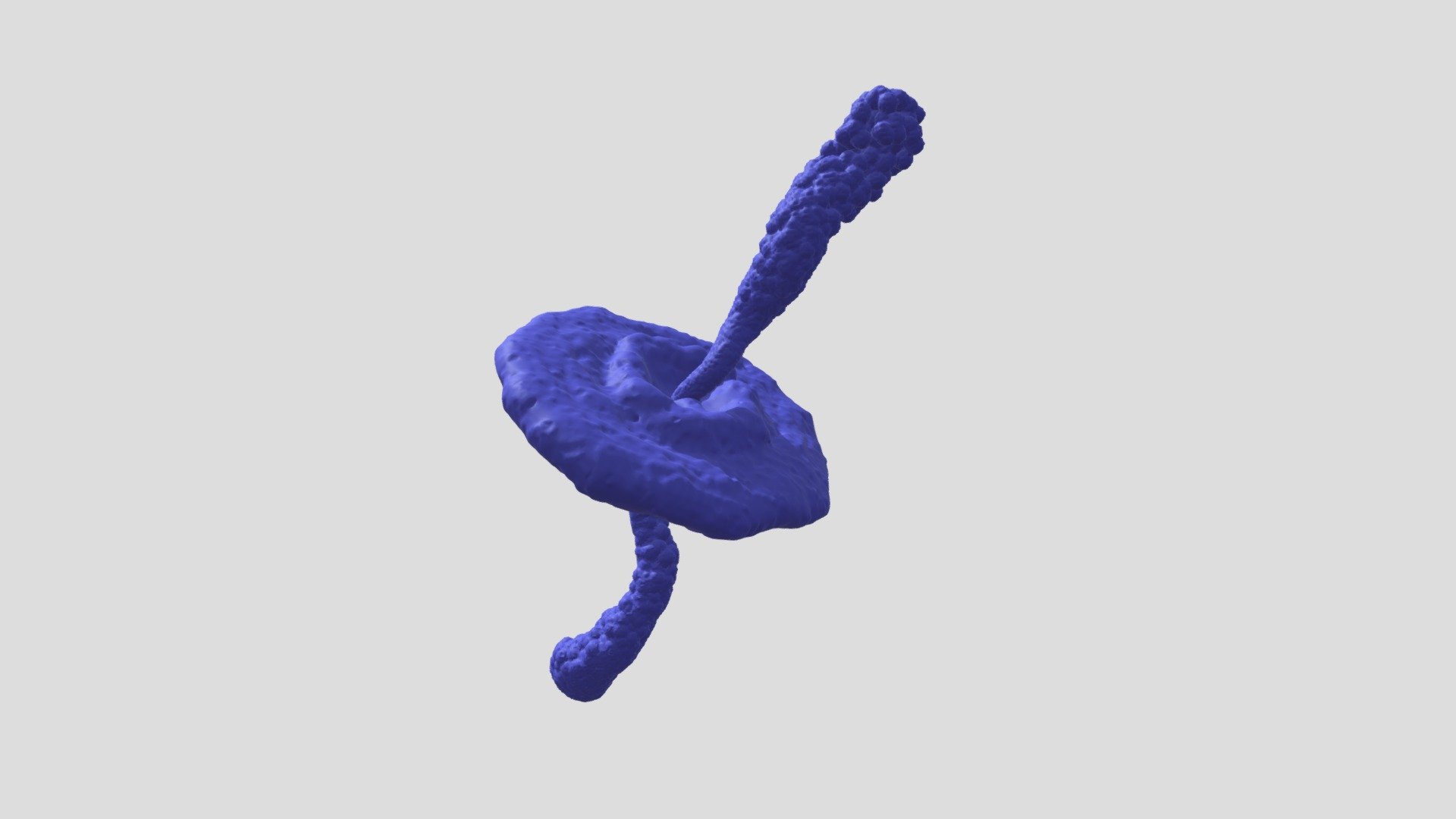 CrabNebulaXrayModel_FBXexport 3d model