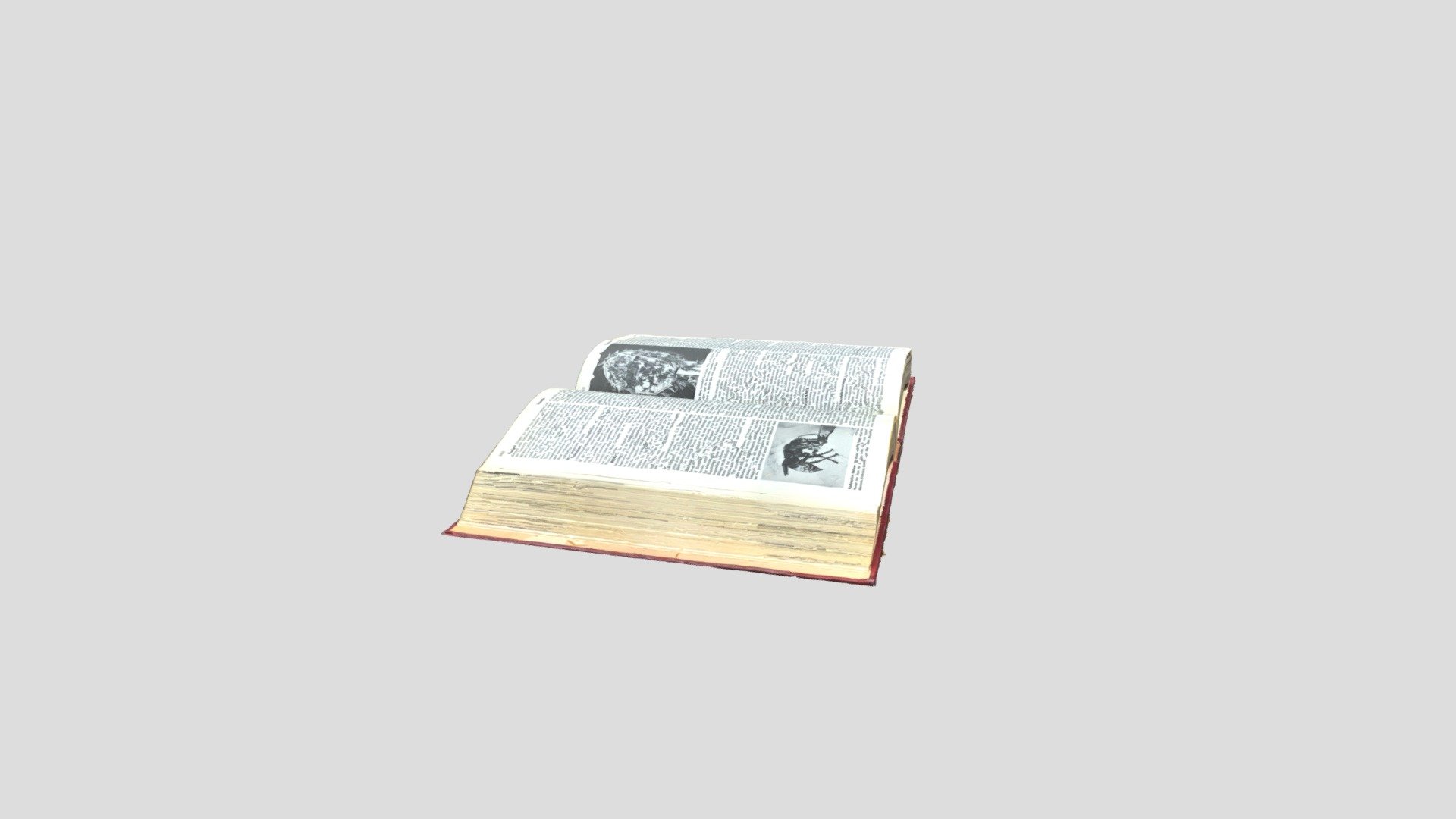 Open Book 3d model