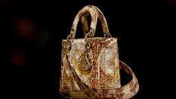 Bolso Pequeño Lady Dior V. Mucha