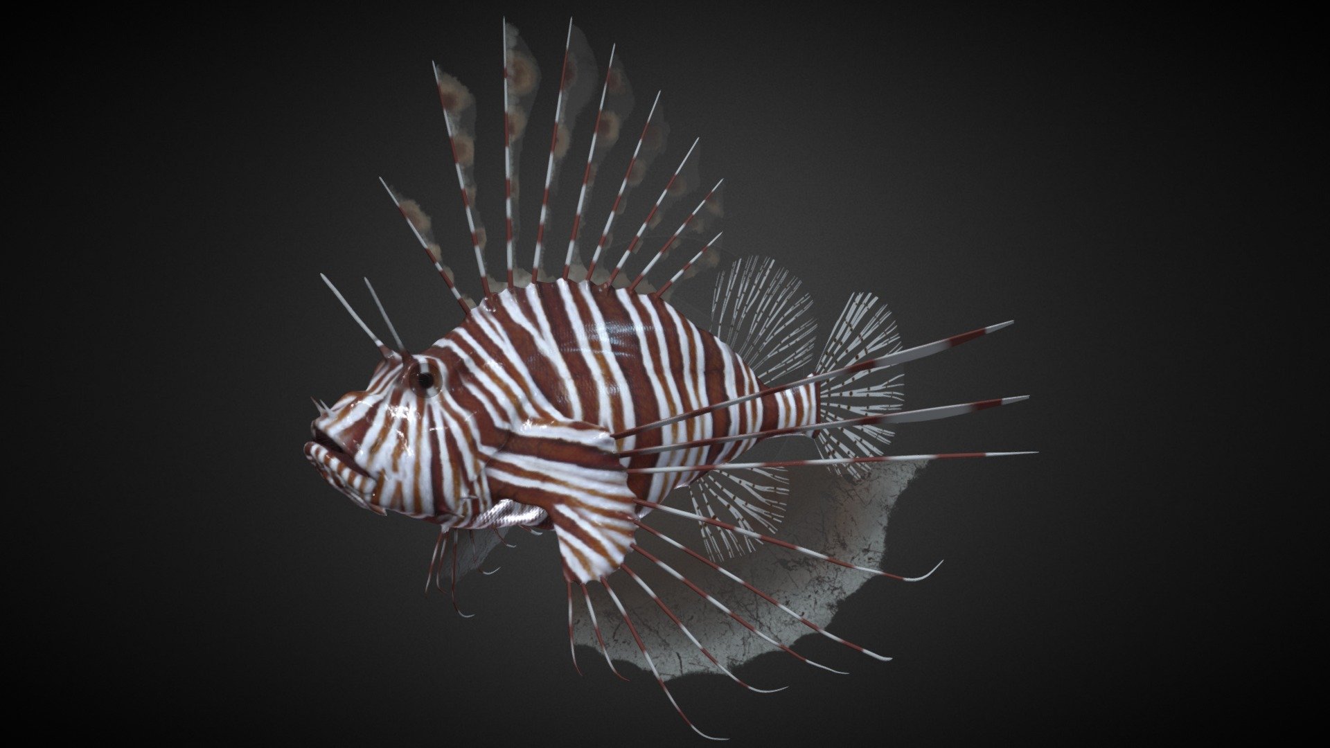 Lionfish 3d model