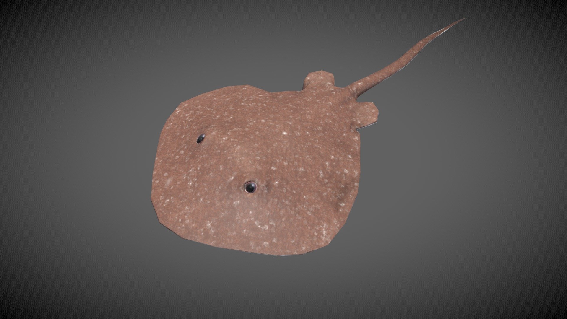 Stingray 3d low poly model and animation 3d model