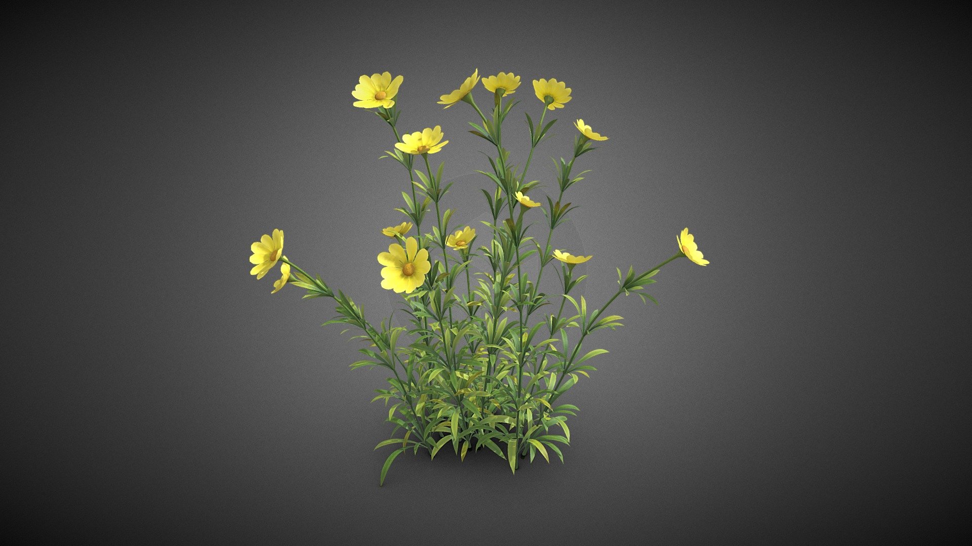 Flower plant 3d model