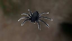 MINIATURE SPIDER