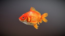 Handpainted Goldfish