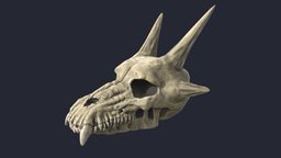 Dragon Skull