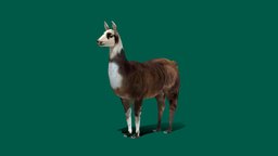 Llama (Lowpoly)