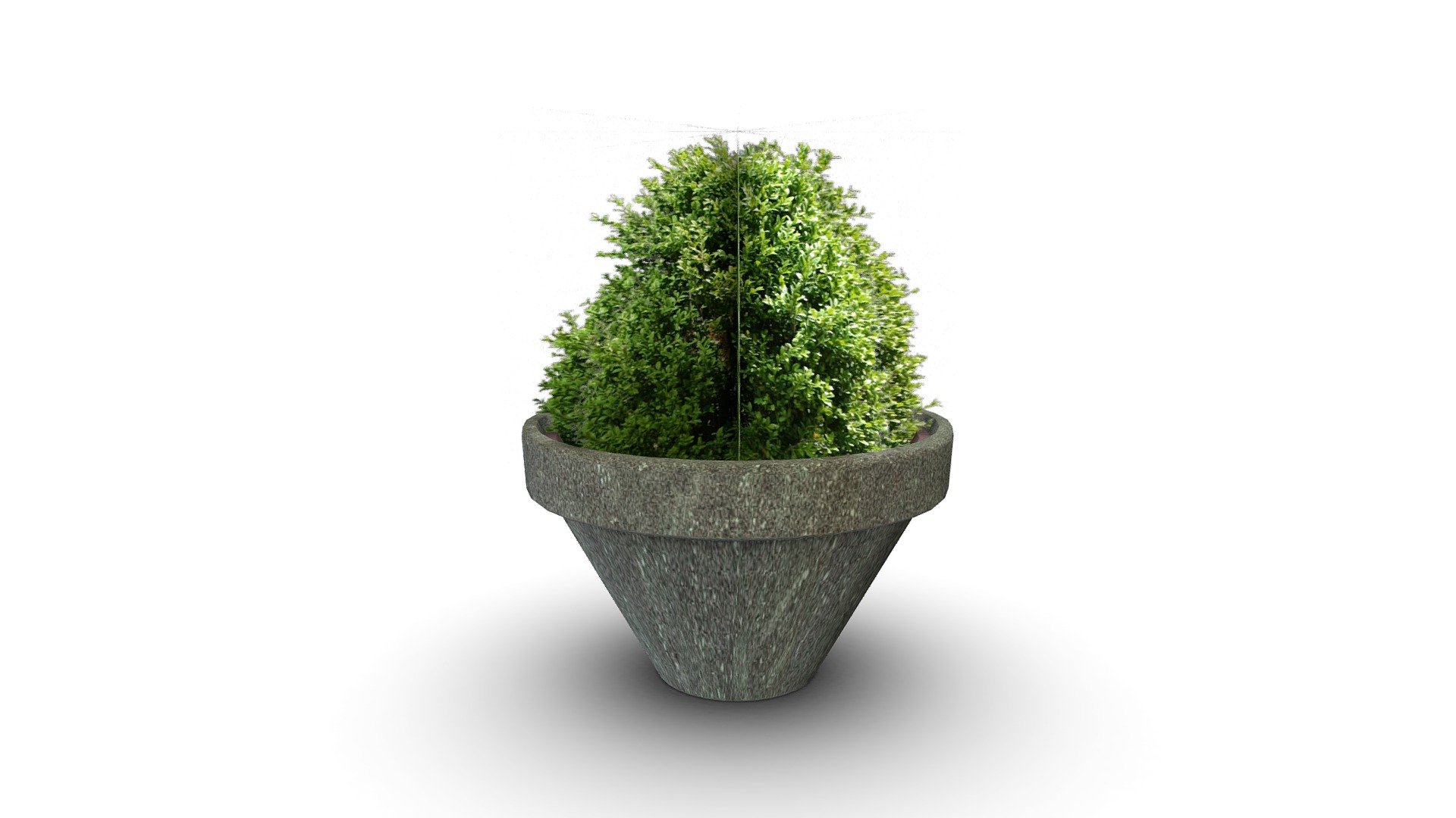 Low Poly Outdoor Pot Plant 3d model