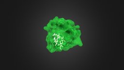 Practice molecules (Cytochrome C)