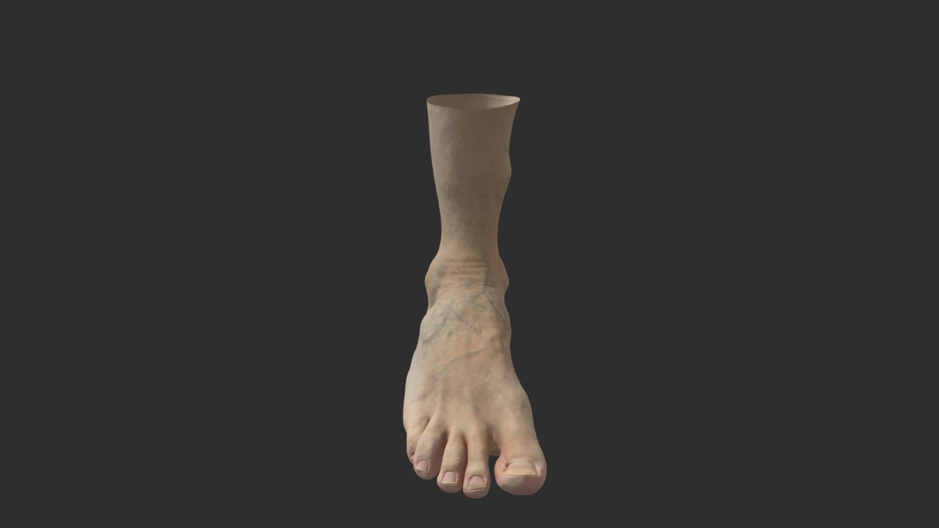 FOOT_OLD_MAN 3d model