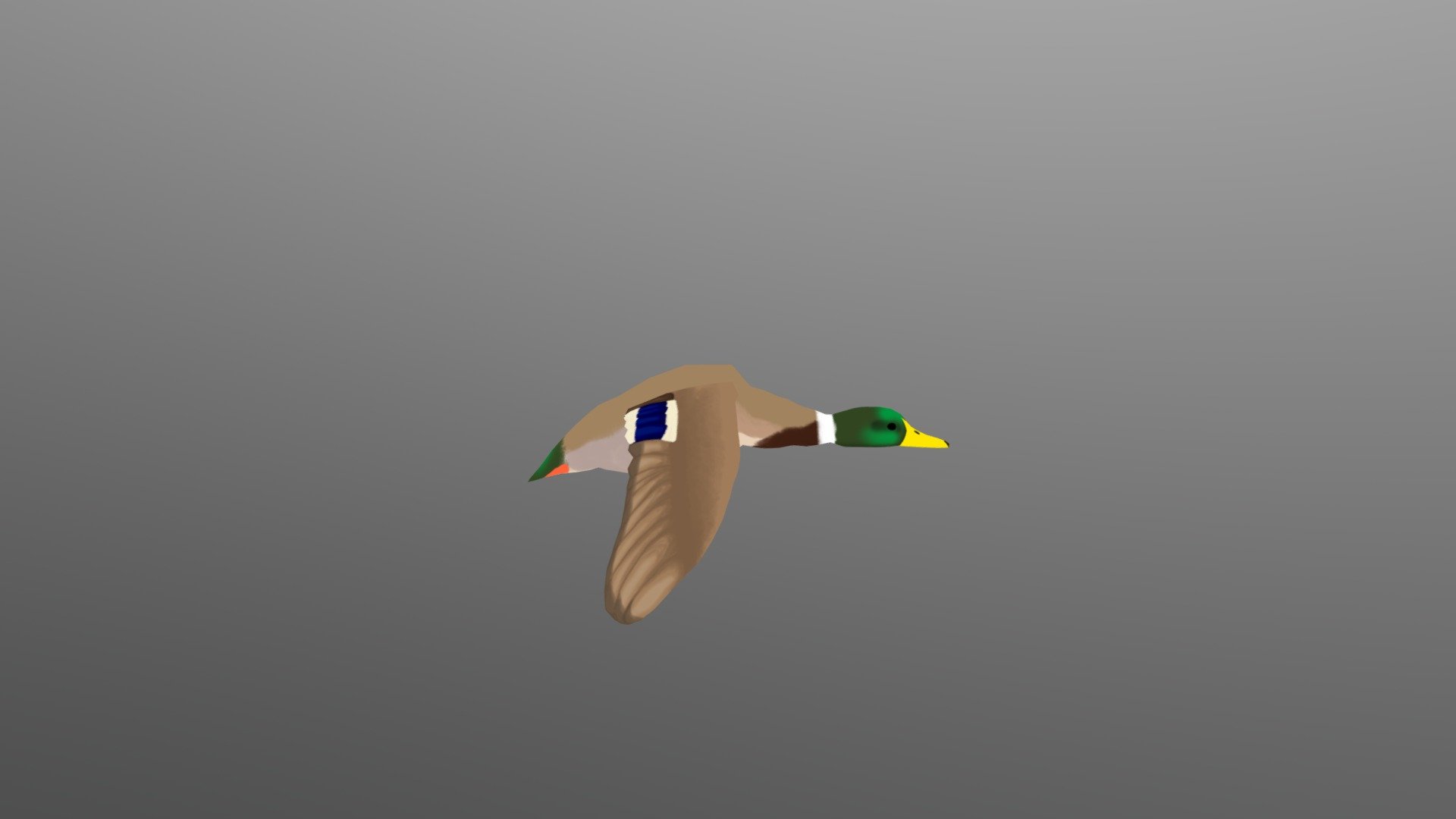 Mallard Duck 3d model