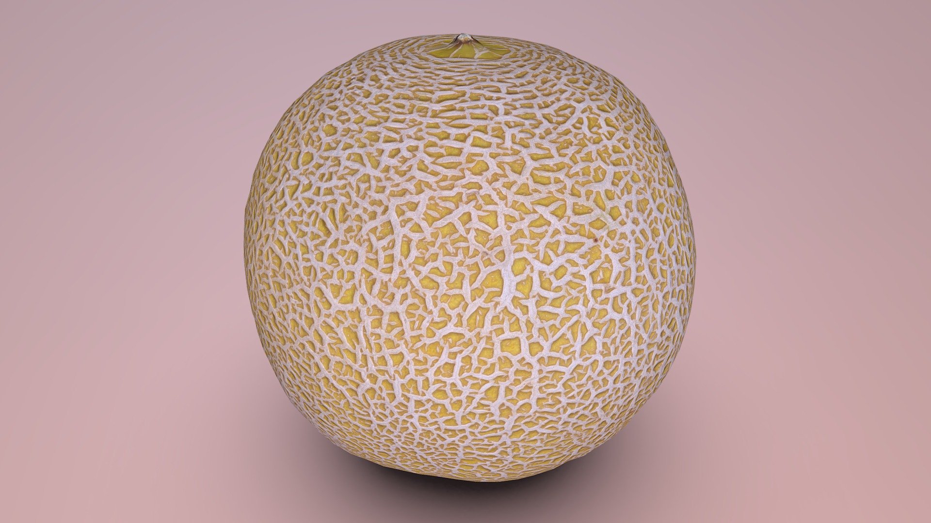 Cantaloupe 3d model