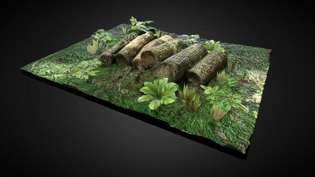 Forest Cut 3d model