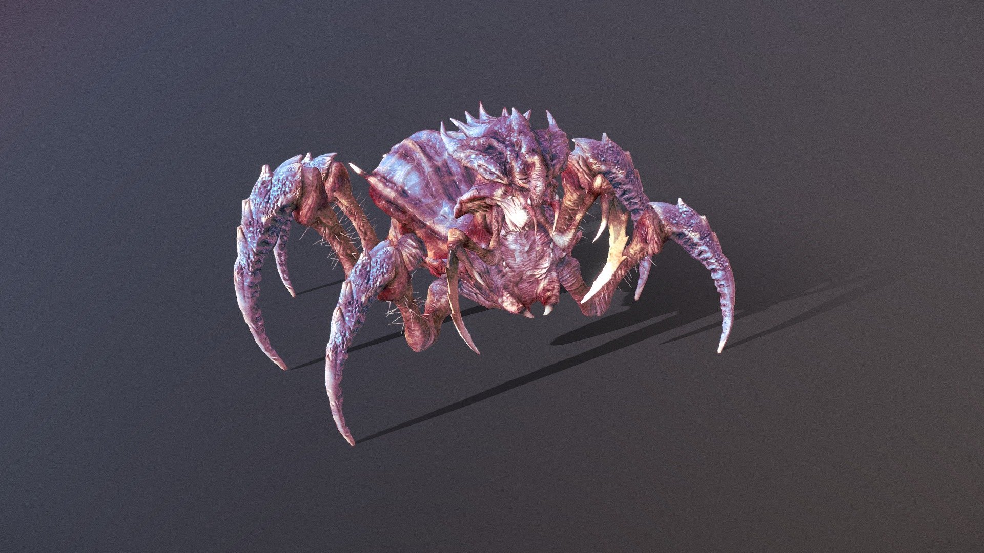 Arachnid Boss 3d model