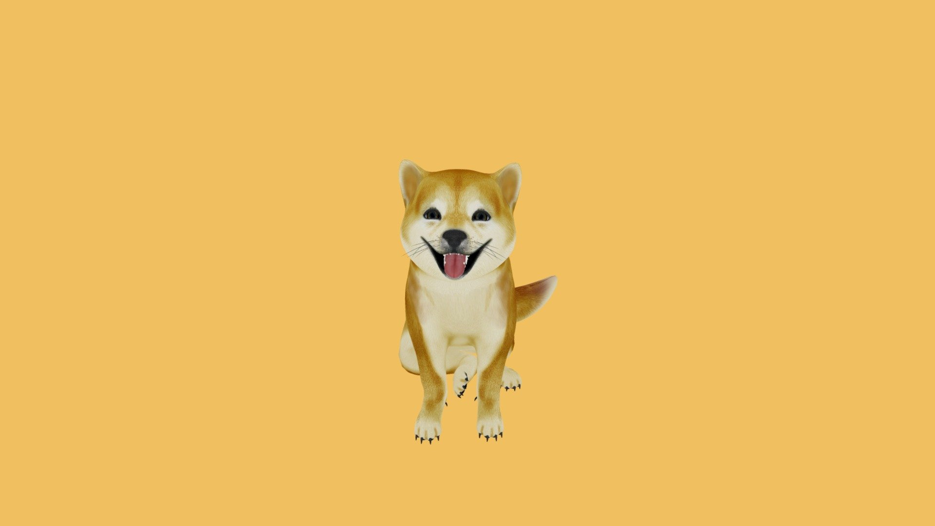 Baby Feisty Doge turning head 3d model