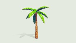 Palm Tree