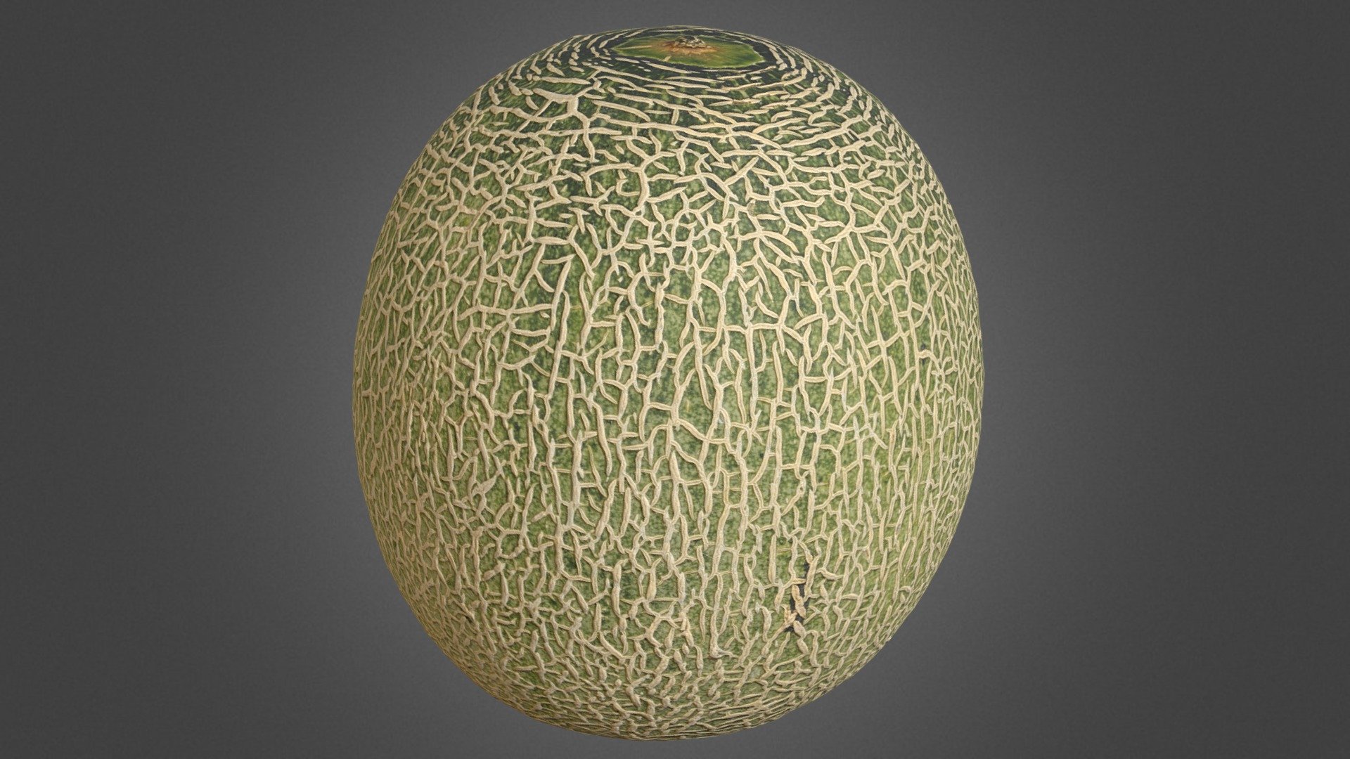 Melon 3d model