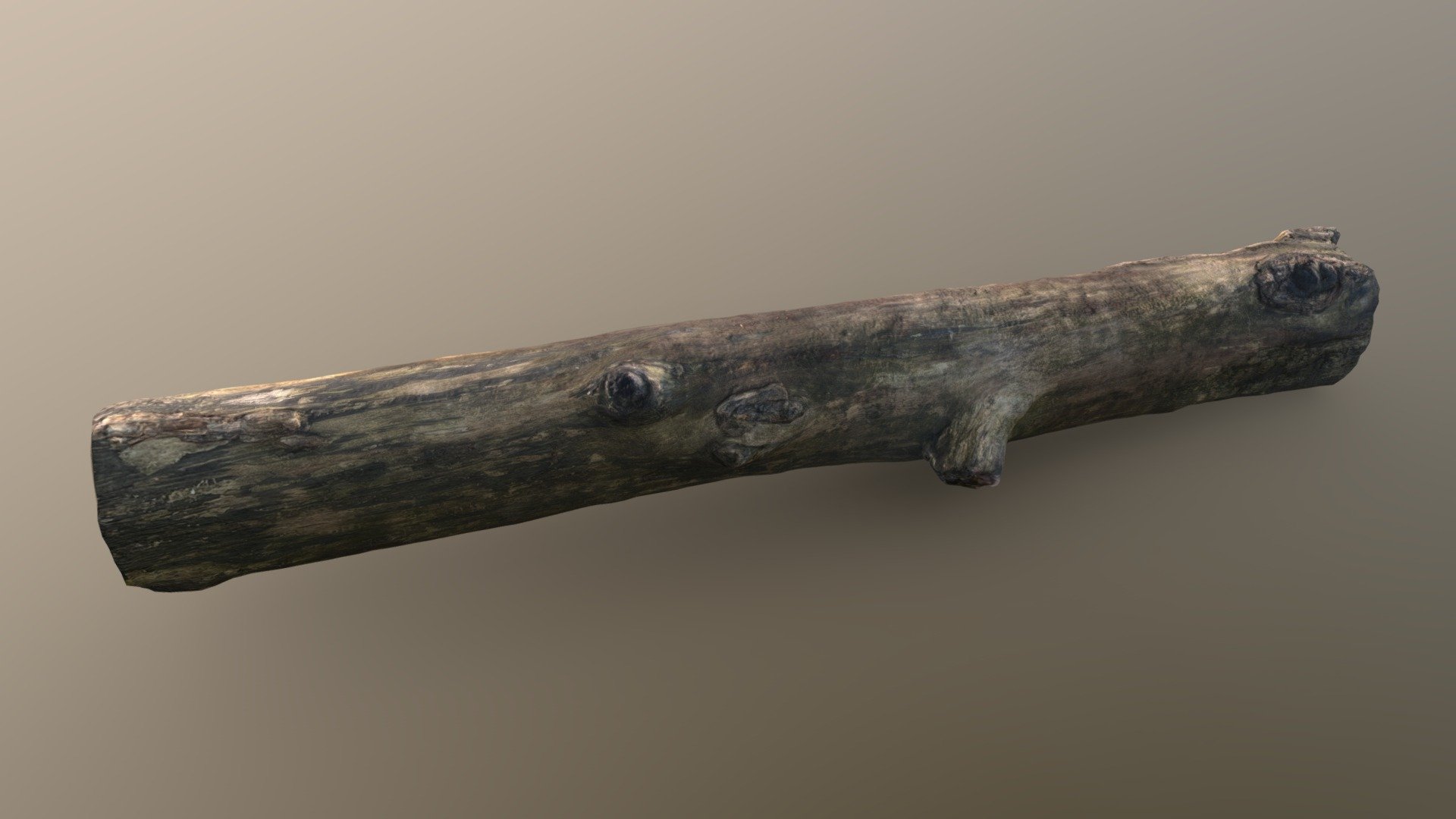 Log (photogrammetrised) 3d model