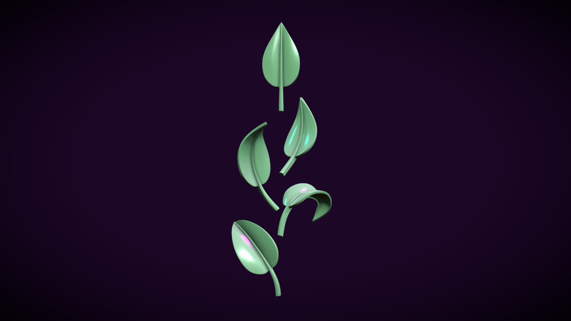 Five Leaves 3d model