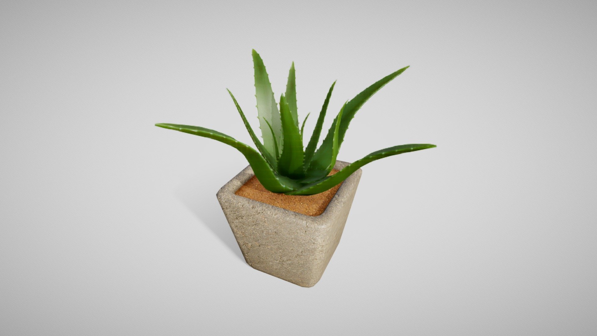 Aloe Vera 3d model