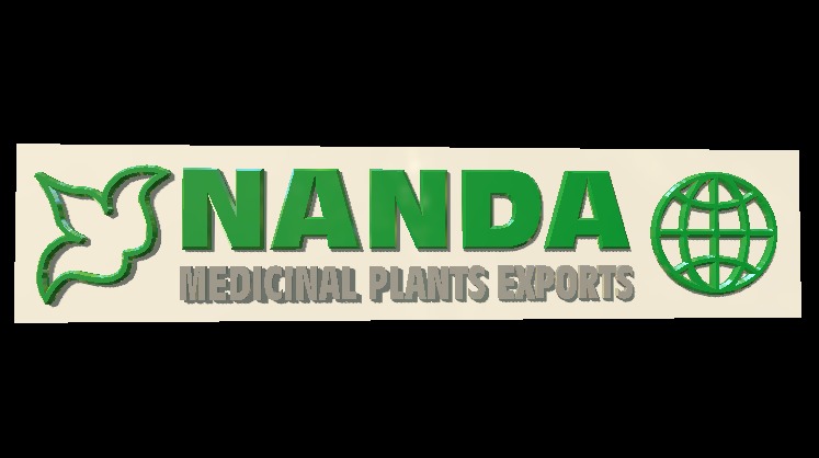 Nanda Logo D 3d model