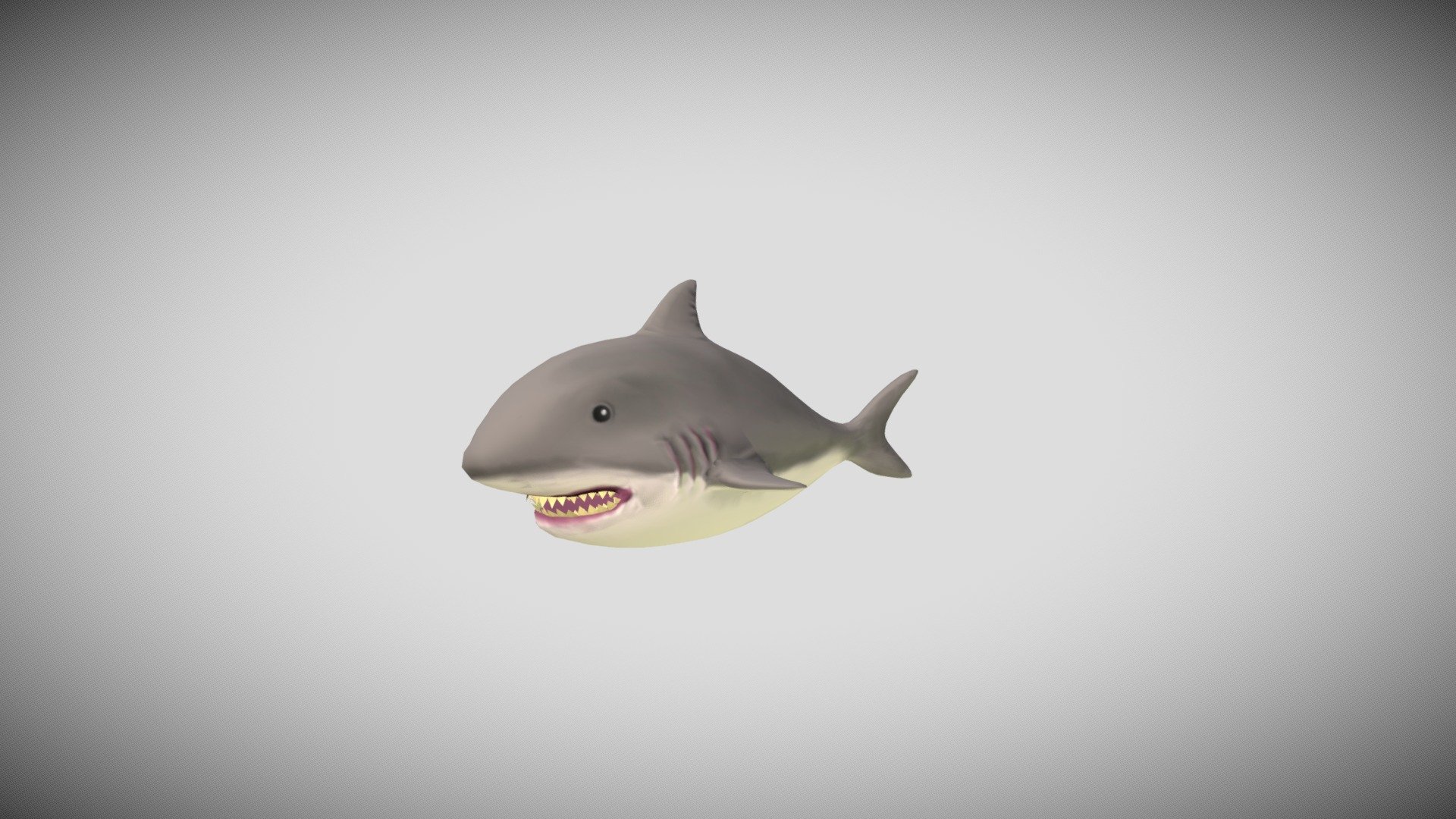 Shark 3d model