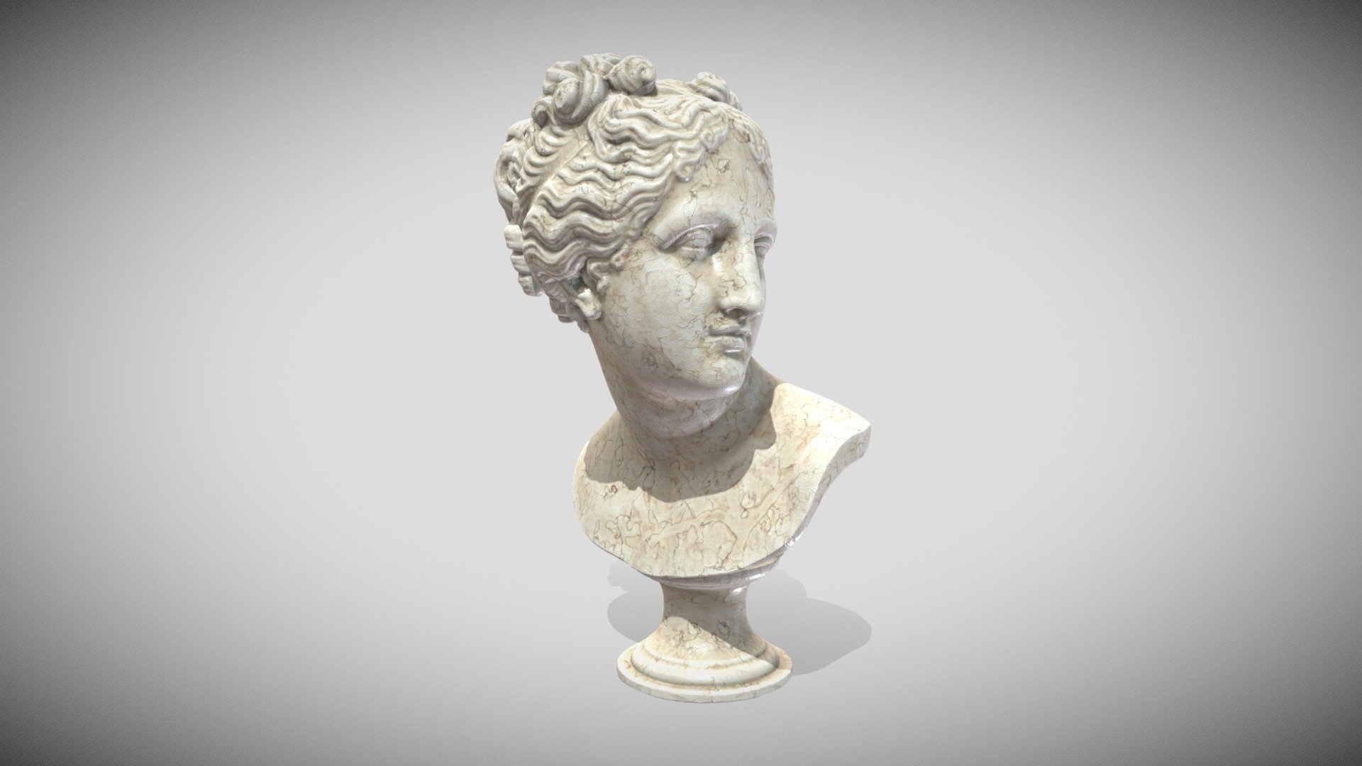 Venus Italica Bust 3d model