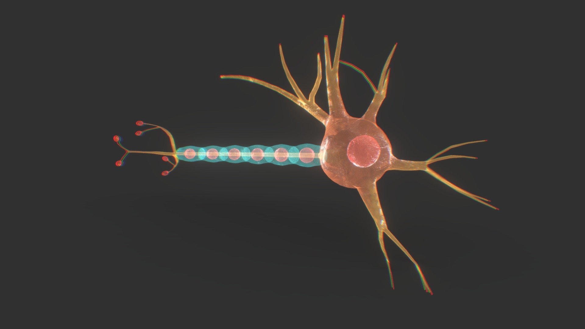 Neuron 3d model