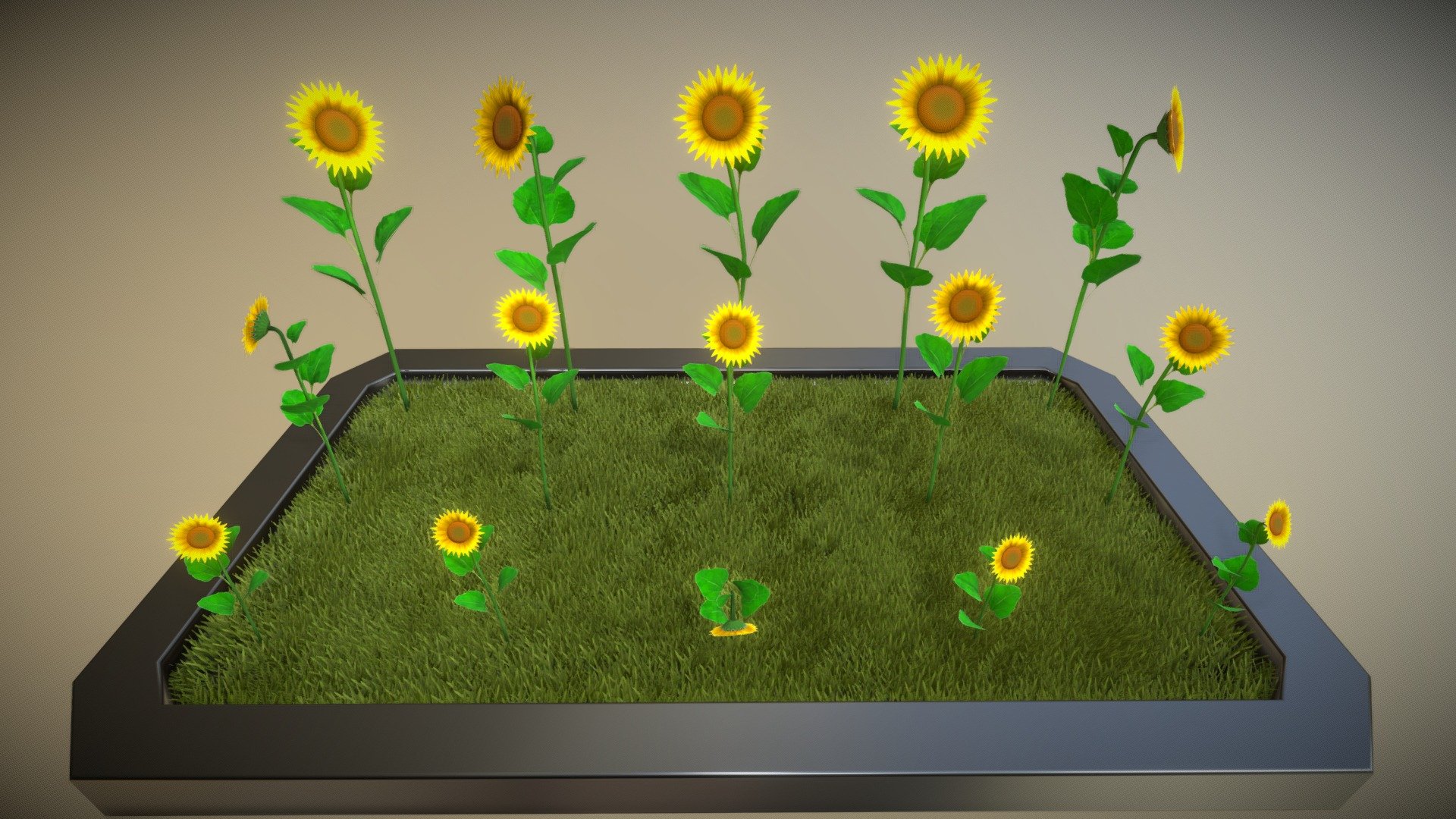 Sonnenblumen 3d model