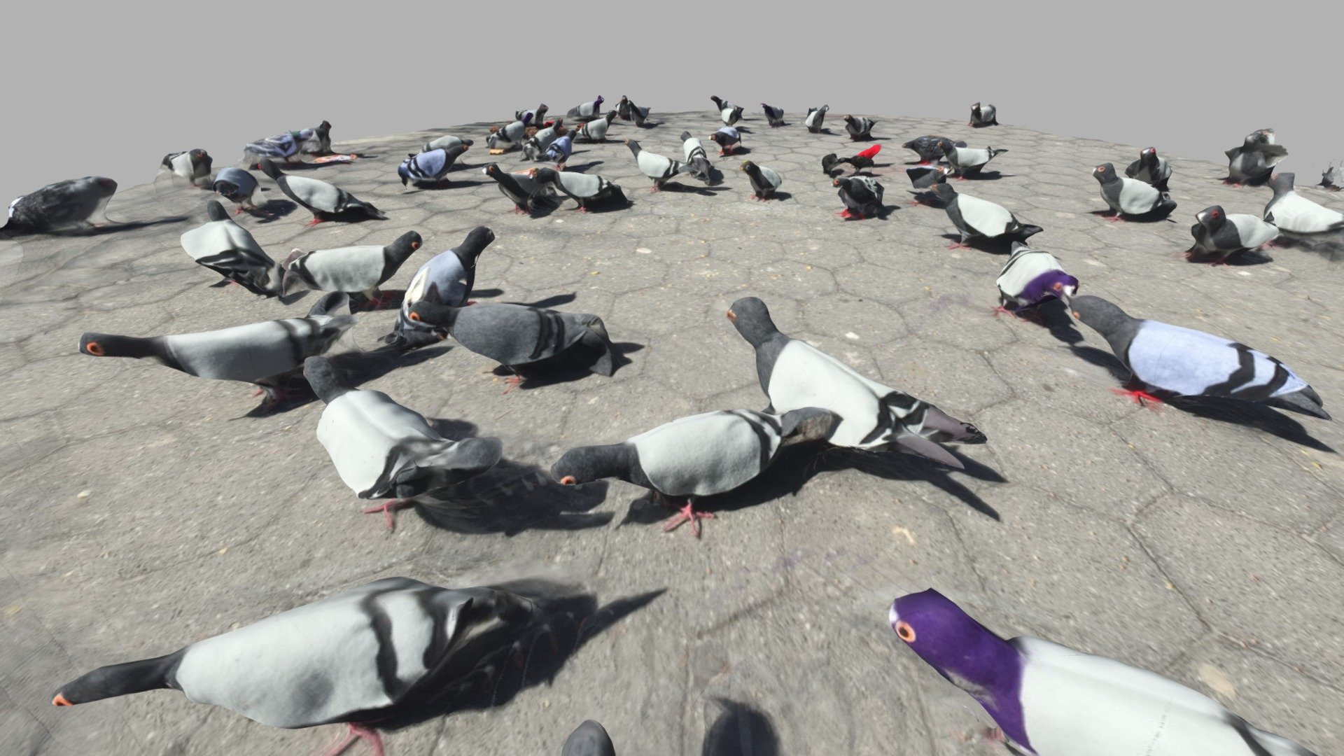 BIRDS EVERYWHERE 3d model