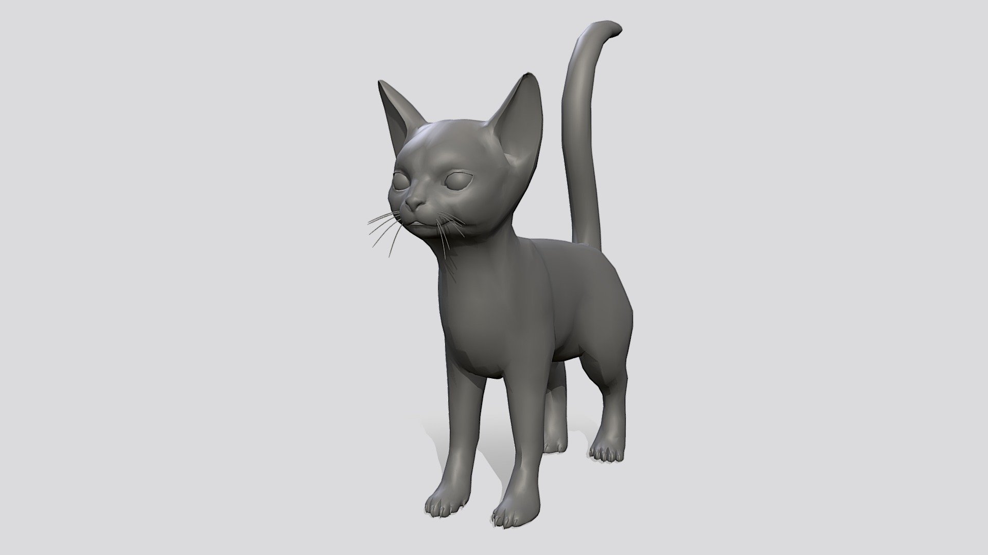 Cat Model 3d model