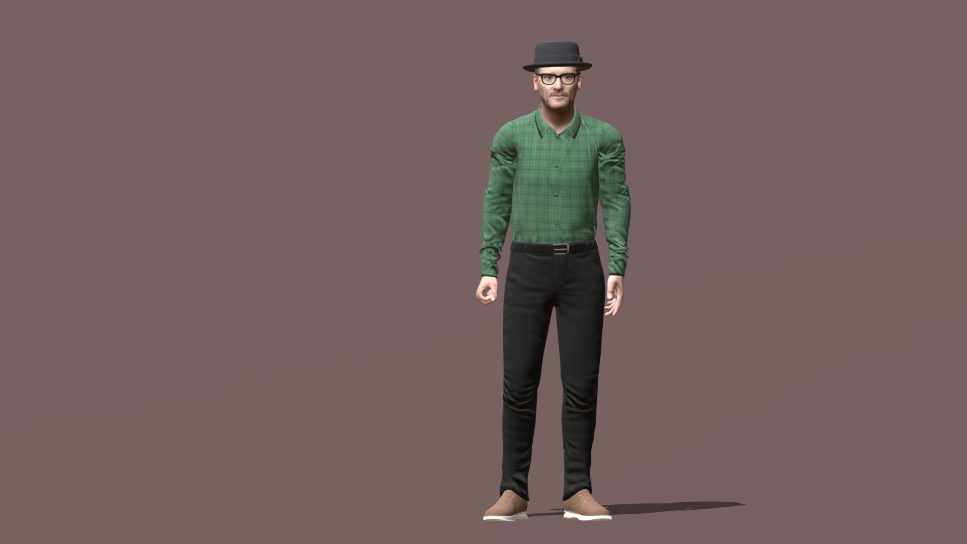 Breaking Bad: Walter White aka Heisenberg 3d model